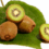 Kiwi conte