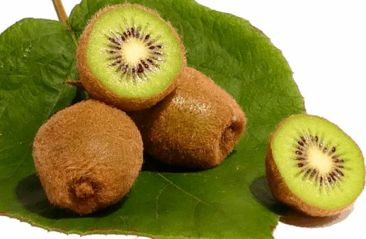 Kiwi Story