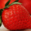 C’est la saison des fruits rouges