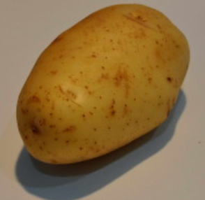 Les bonnes pommes de terre de jardin Les bonnes pommes de terre de jardin