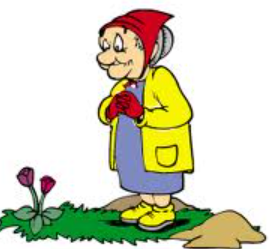 Astuces de jardiniers Astuces de jardiniers