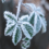 Les plantes et le froid