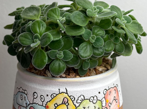 Les plantes duveteuses