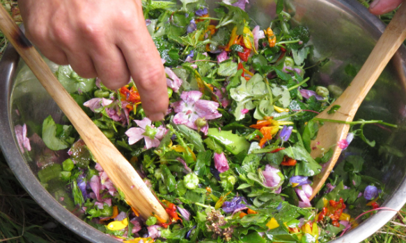 LES FLEURS COMESTIBLES