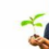 Entretenir les jeunes arbres